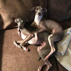 Meet your Posher, Dave